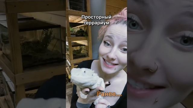 Мы пропагандируем ответственное содержание экзотических животных🫶🏻 #питомцы #животные смотреть онлайн