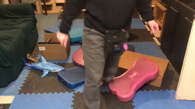 ZEPHYR 15 Novice Tricks смотреть онлайн