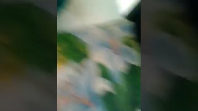 Издевательство над кешей смотреть онлайн