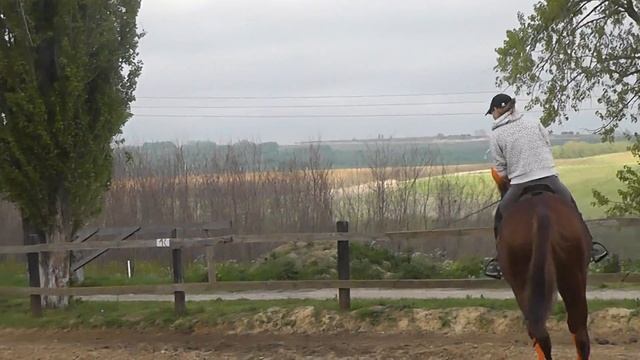 Херсон 11 смотреть онлайн