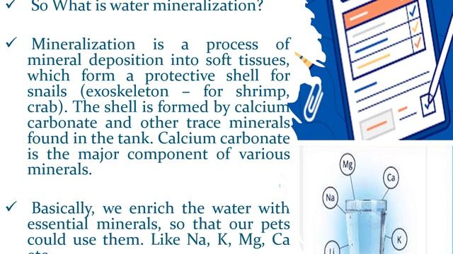 #Session 67 Low Cost Calcium Supplement in Fish, Catfish, Shrimp, Crab, Snail, Birds in Live Stock смотреть онлайн