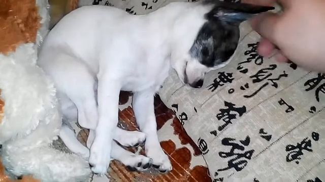 Пора в школу! Просыпайся! ))) смотреть онлайн
