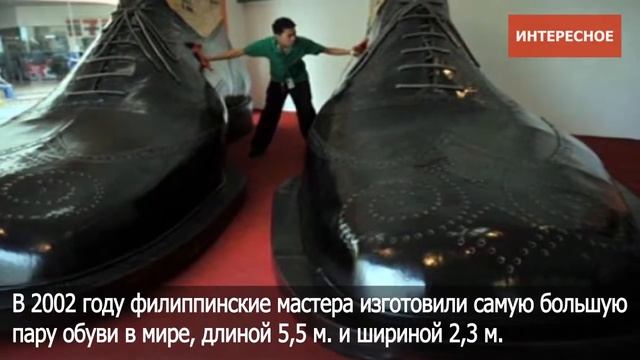ПМТ Люберцы смотреть онлайн