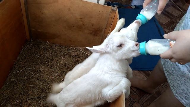 19 февраля 2022 г. смотреть онлайн