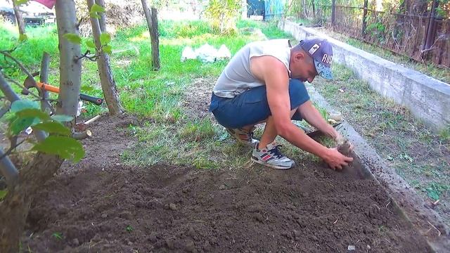 Смотрю почву 11 смотреть онлайн