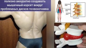Обзор видеокурса «Укрепление поясничного отдела позвоночника»