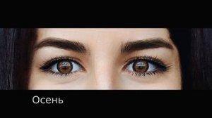 я четырежды должник синих, серых, карих, черных...