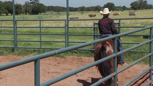 Clinton Anderson: Square Pen Control, Part 2 - Downunder Horsemanship смотреть онлайн