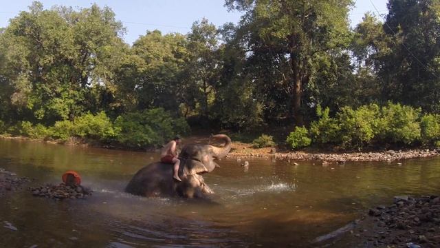 Боря и Маша. GOA. смотреть онлайн