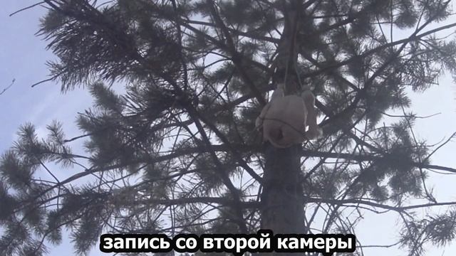 Испытание ТРАВМАТИЧЕСКИХ патронов 12к с резиновой пулей. Cartuchos De Prueba Con Una Bala De Goma.