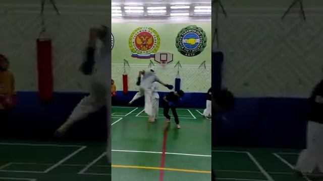 Видео отчет инклюзивный секции тхэквондо