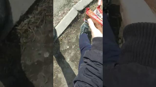купили тульский пряник смотреть онлайн