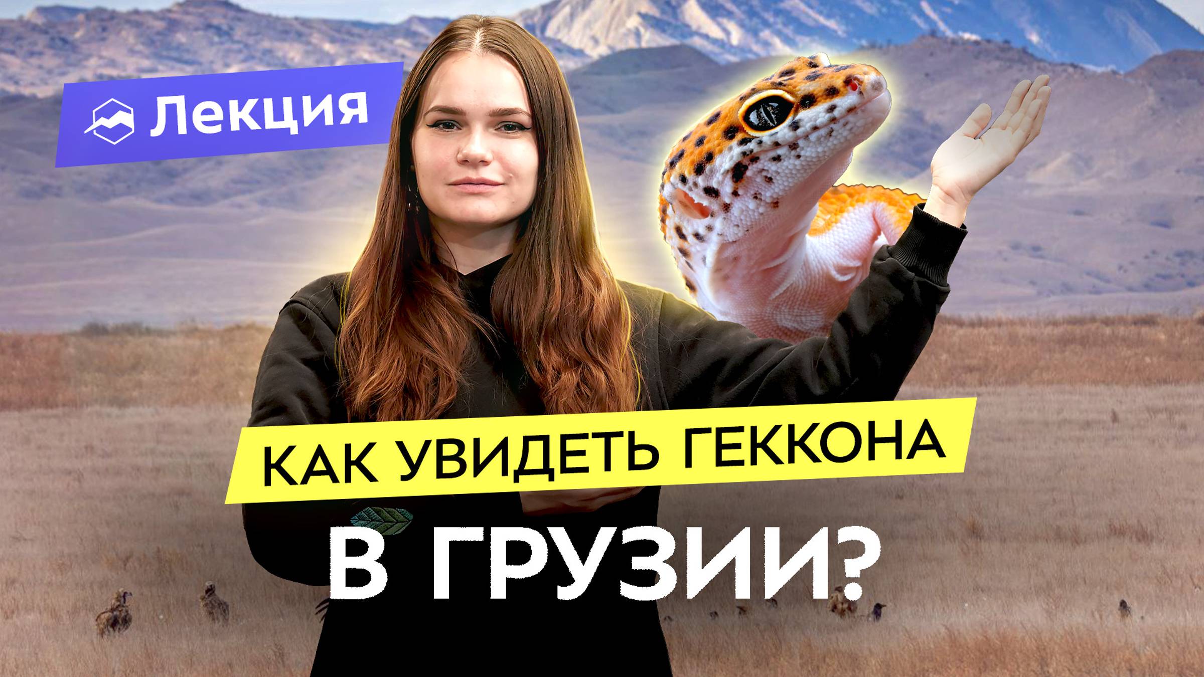 Наблюдаем за редкими птицами и животными в Грузии: локации, маршруты смотреть онлайн