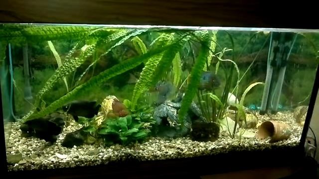 07022012042 смотреть онлайн
