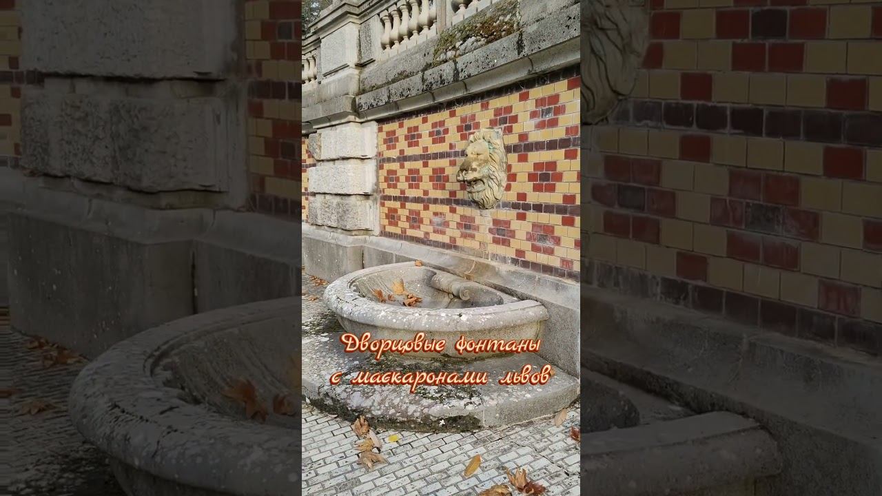 7 декабря 2024 г. Массандровский дворец. Фонтаны с масками львов #ялта2024 #массандра
