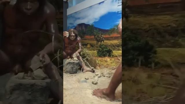 manusia purba смотреть онлайн