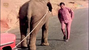 Слоны — мои друзья | Индия | 1971 | 4K