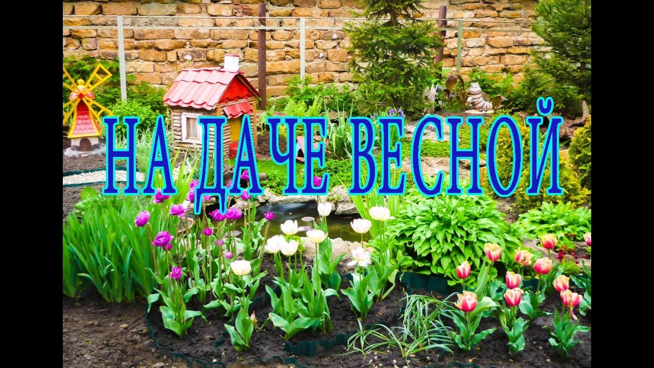 На даче весной 2017). On The Russian Villa In The Spring
