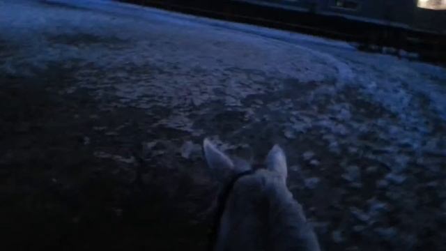 Осваиваем вечерний плац :D смотреть онлайн