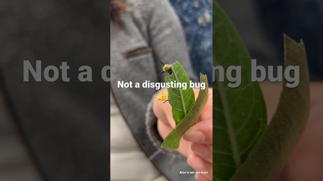 Caterpillar смотреть онлайн