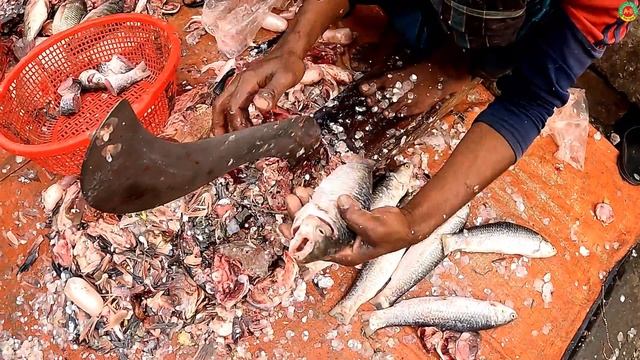Amazing Live Fish Cutting Skills Super Fastest Cutting Skills Fish Market Fastest Rui Fish Slicin смотреть онлайн