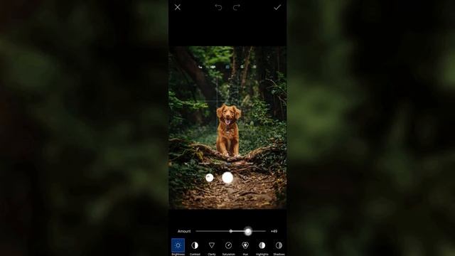 PicsArt Transparent Camera Effect | PicsArt Tutorial смотреть онлайн