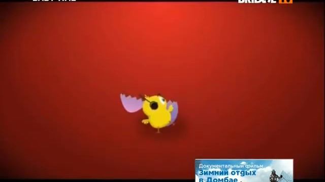 Pulcino Pio — Il Pulcino Pio (BRIDGE TV) Baby Time смотреть онлайн