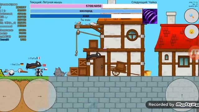 ЭВОЛЮЦИЯ флай ор Дай. Ио*1*часть