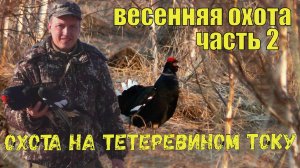 Охота на тетеревином току / Весенняя охота на тетерева
