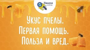 Укус пчелы. Первая помощь. Польза и вред.