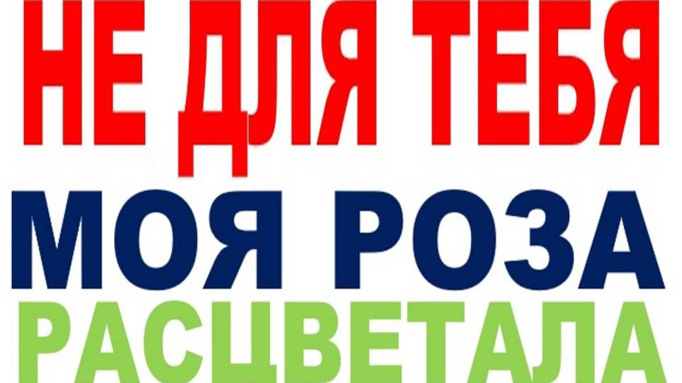 НЕ ДЛЯ ТЕБЯ МОЯ РОЗА РАСЦВЕТАЛА-11 смотреть онлайн