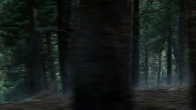 Росомаха бежит и орёт. Логан. Logan run and scream. Wolverine смотреть онлайн