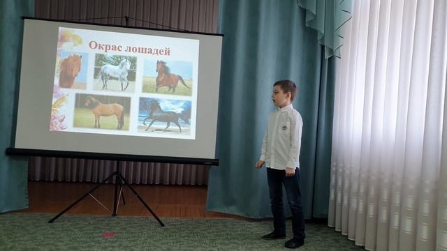 Я-Исследователь. смотреть онлайн