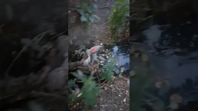 В г. Шахты текут реки канализации смотреть онлайн