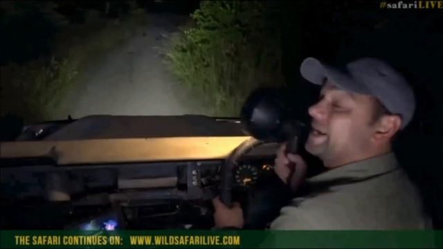 Nat Geo Face Book Live : Byron with a herd of Impala this evening April 03, 2017 смотреть онлайн
