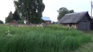 vatravel.ru Озеро Иткольское (Вологодская обл)