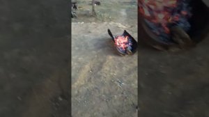 Чеченский шашлык