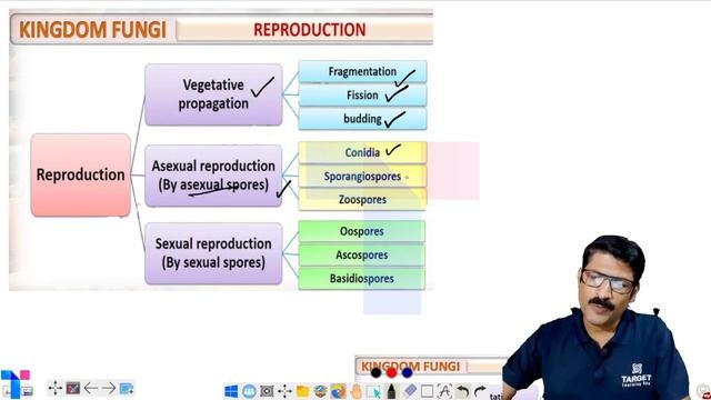 Biological Classification | Plus One Focus Area Biology | Final Revision | Target Learning App смотреть онлайн