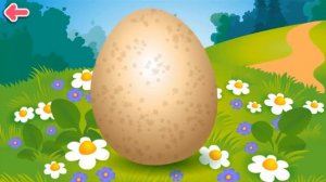 Кто спрятался в домике Птицы