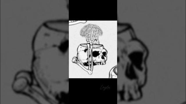 💯 😂 #юмор #смешно #жиза