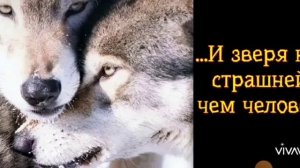 Он убегал ..., в него стреляли люди...