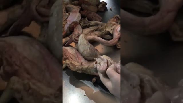 Reproductor macho pt2 смотреть онлайн