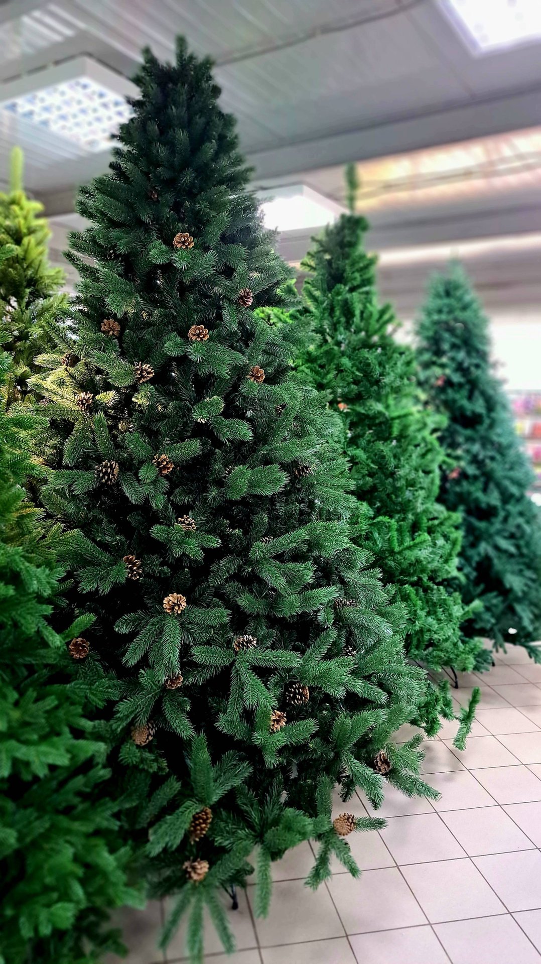 Отличие ИСКУССТВЕННЫХ ЁЛОК ПРЕМИУМ от ОБЫЧНЫХ #искусственнаяелка #елкановогодняя #shorts