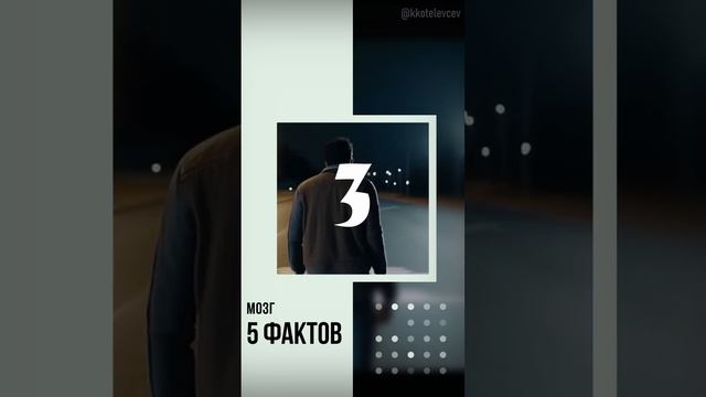 5 фактов о мозге