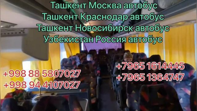Москва ￼Ташкент автобус Москва худжанд автобус Москва Шымкент автобус Москва Бухара автобус Россия смотреть онлайн