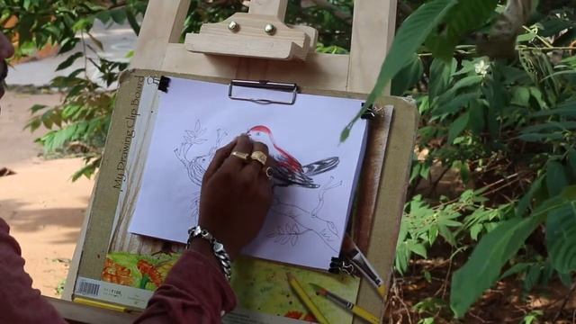 Bird nest drawing | S.S.V.M CLASS-6 (ଚଢେ଼ଇ ବସା) смотреть онлайн