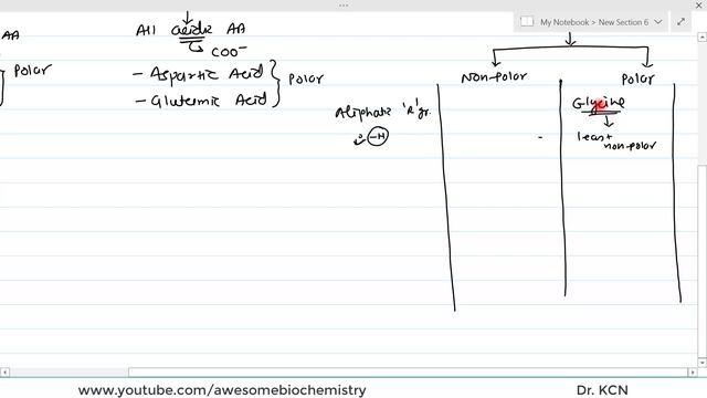 4. Classification of Amino Acids based on Polarity and Charge on R group смотреть онлайн