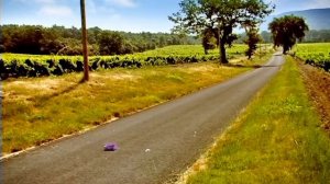 Букашки.02.Муравьи.