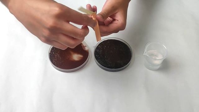 10th Bio - Natural Resources: Examine the pH of soil from surrounding gas stations . смотреть онлайн