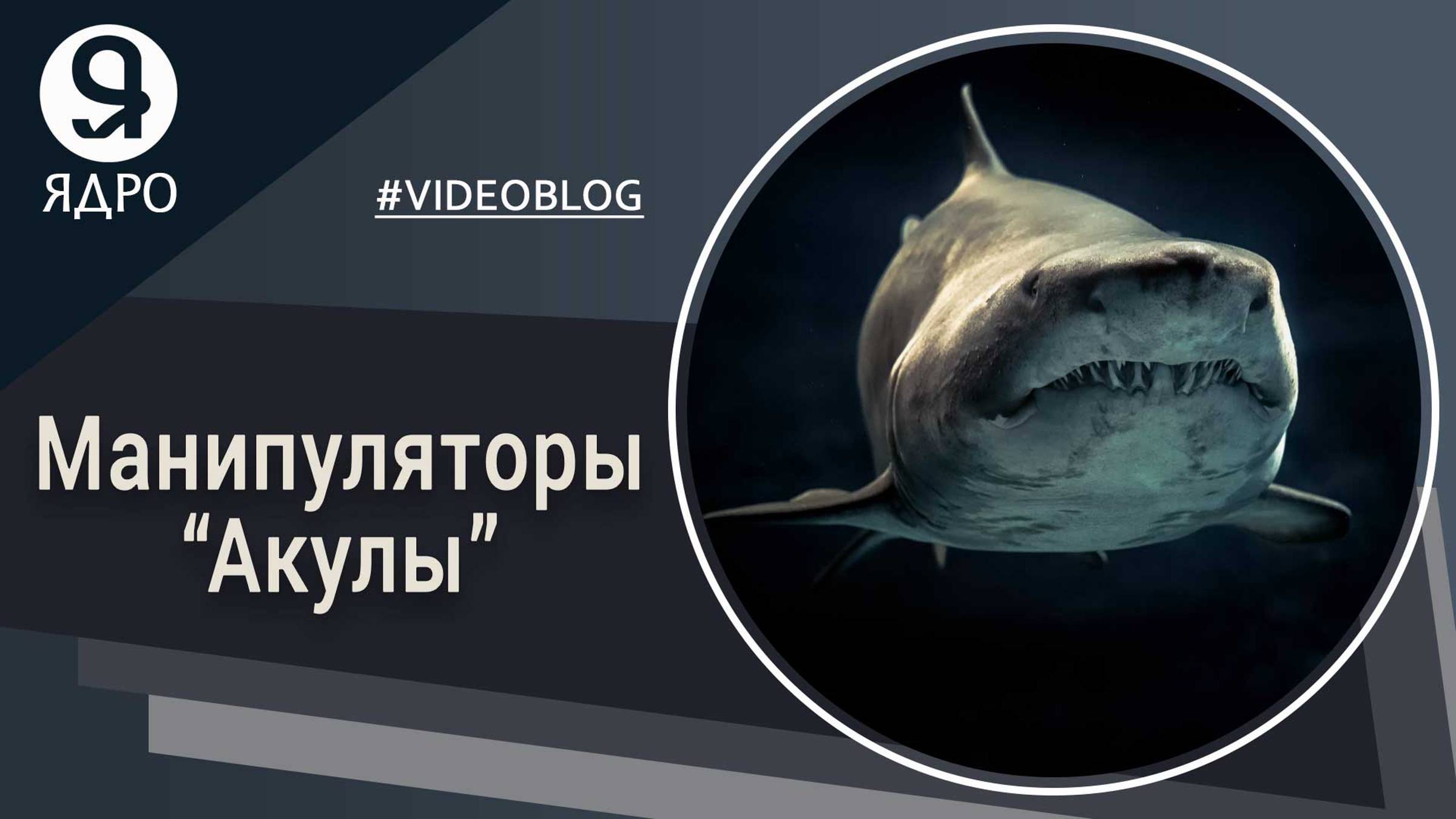 Манипулятор, кто этот человек в психологии и переговорах? смотреть онлайн